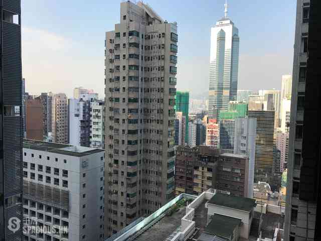中半山 - 樂信臺 06