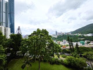司徒拔道 - 怡園 06