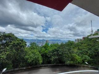 The Peak - Barker Villa 09