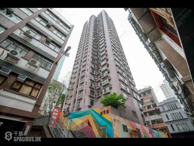 Poho - Rich View Terrace 01