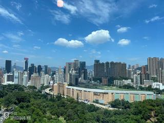 司徒拔道 - Central Peak 12