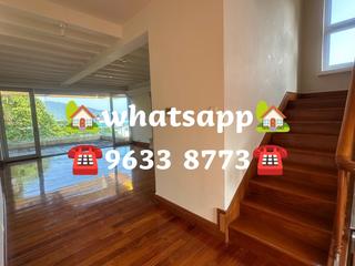 Stanley - Carmelia 20