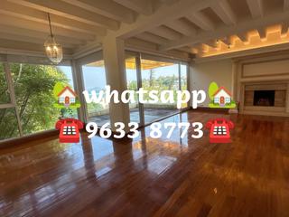 Stanley - Carmelia 21