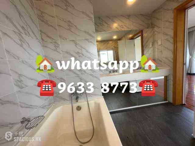 Stanley - Carmelia 28