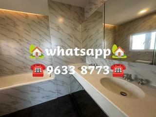 Stanley - Carmelia 33