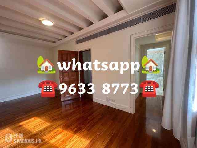 Stanley - Carmelia 43