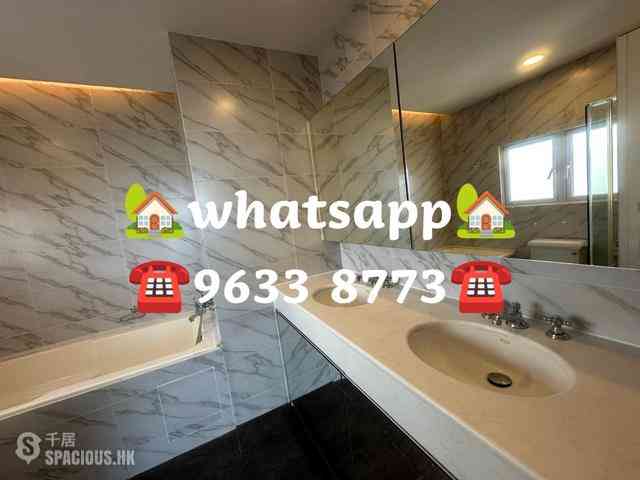 Stanley - Carmelia 46