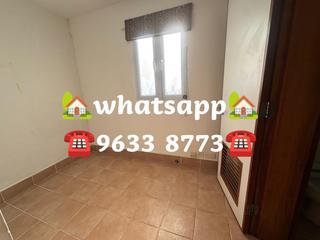 Stanley - Carmelia 61