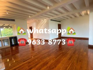 Stanley - Carmelia 54