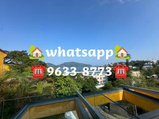 Stanley - Carmelia 56