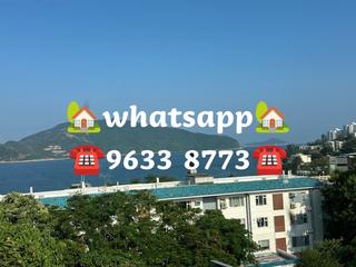 Stanley - Carmelia 66