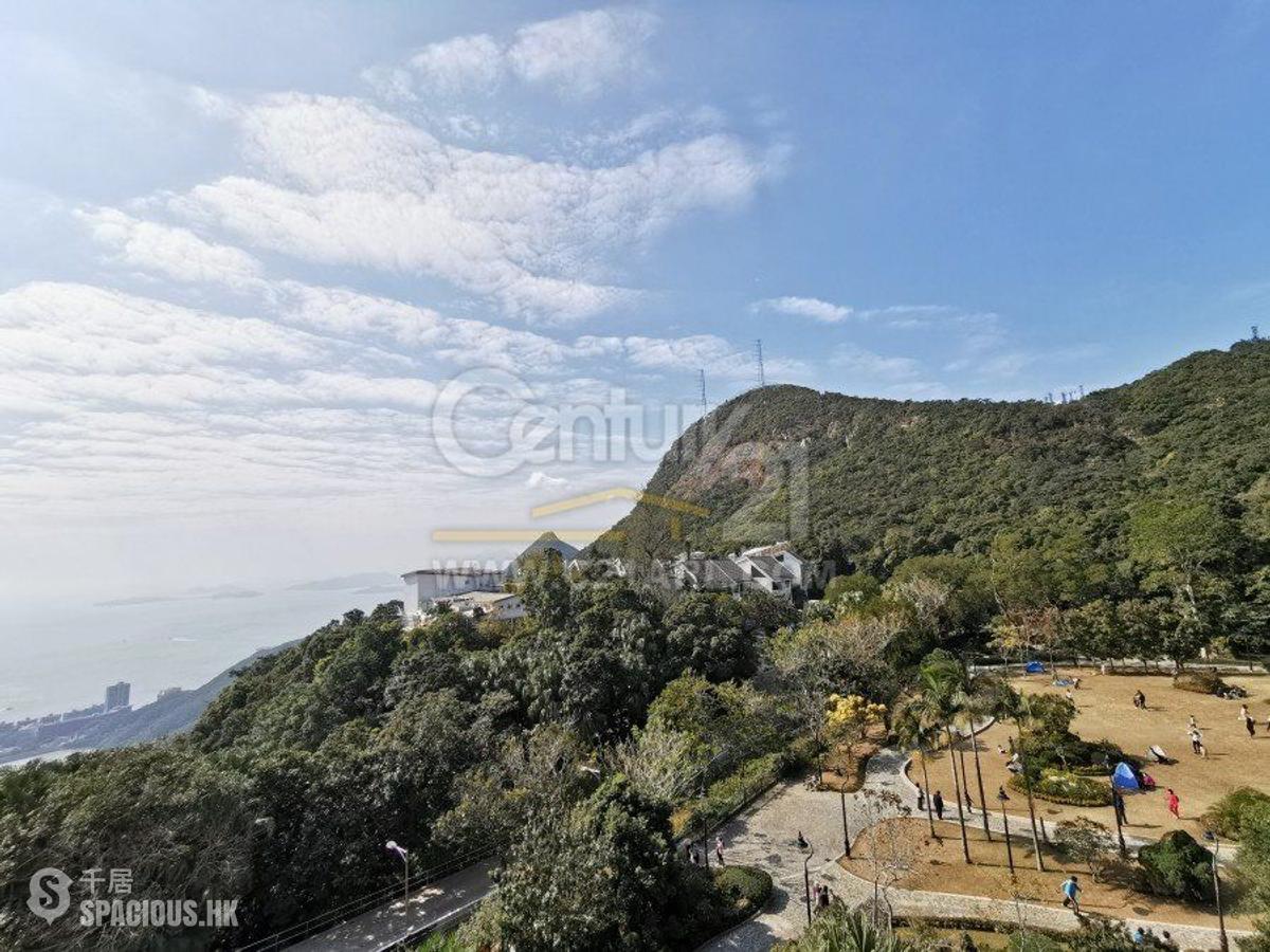 The Peak - The Mount Austin 01