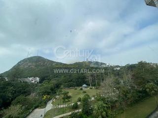 The Peak - The Mount Austin 04
