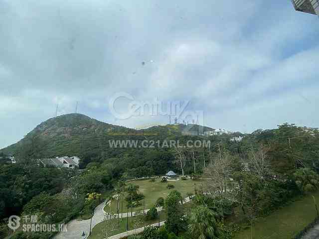 山顶 - The Mount Austin 04