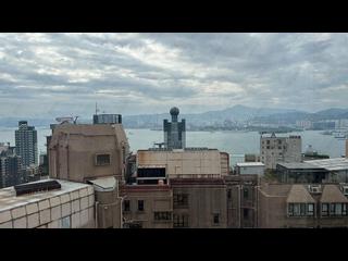 Sai Ying Pun - The Babington 11