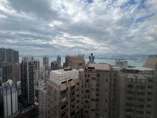 Sai Ying Pun - The Babington 13