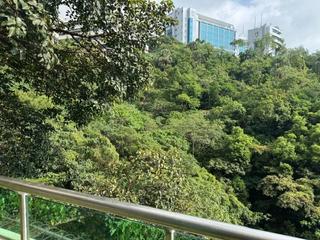 Pok Fu Lam - Regent Palisades Block 2 02