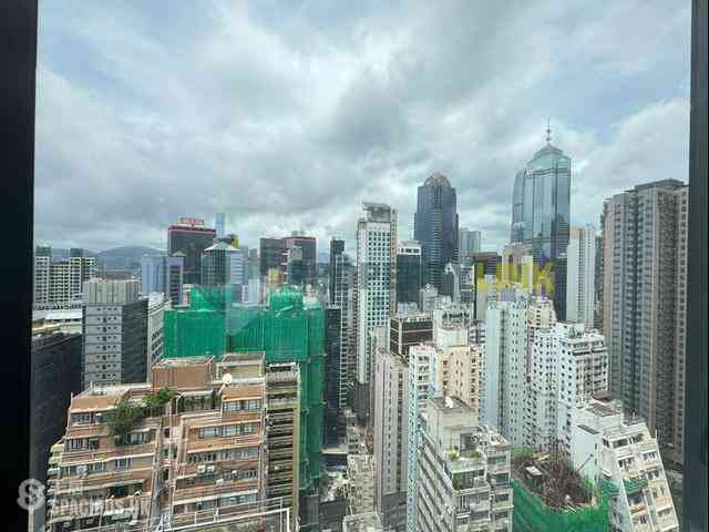Poho - Rich View Terrace 06