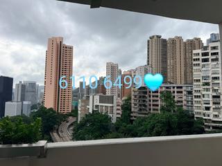 中半山 - 罗便臣花园大厦 03