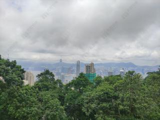 山顶 - 柏架别墅 02