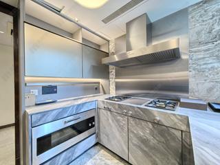 Mid Levels Central - 21 Borrett Road 05