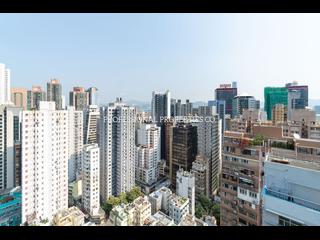 Poho - Rich View Terrace 11