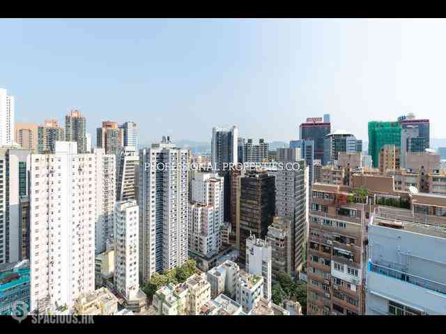 Poho - Rich View Terrace 11