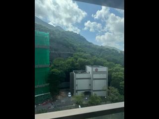 Shau Kei Wan - Island Garden 07