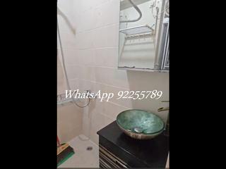 Sai Ying Pun - Rex Building 04