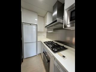 Sai Ying Pun - The Babington 07