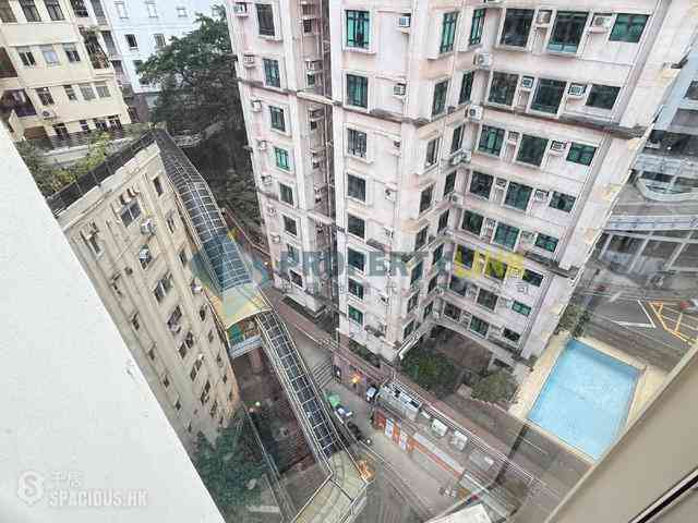 Mid Levels Central - Rich Court 03