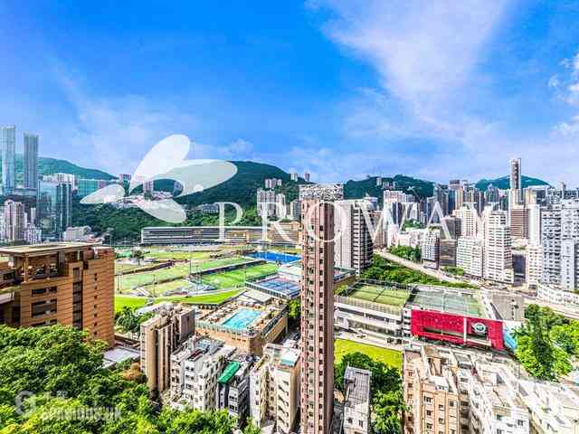 禮頓山 - 禮頓山 02