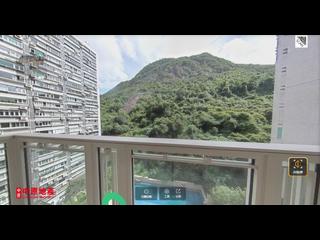 中半山 - 敦皓 05