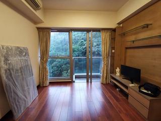 Tai Hang - Serenade Block 2 02