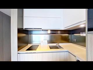 Shau Kei Wan - Lime Gala 05