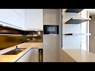 Shau Kei Wan - Lime Gala 06