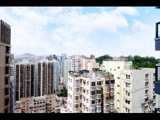 Shau Kei Wan - Lime Gala 20