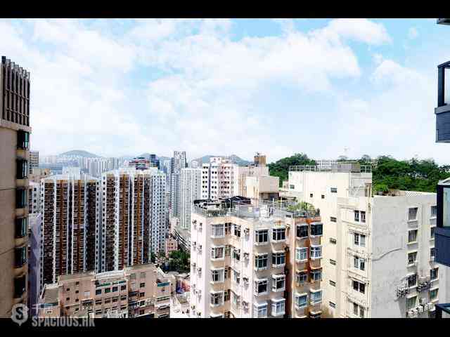 Shau Kei Wan - Lime Gala 20