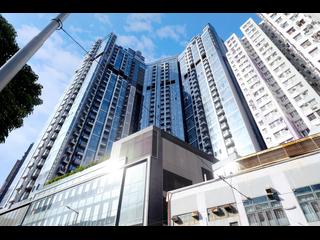 Shau Kei Wan - Lime Gala 24