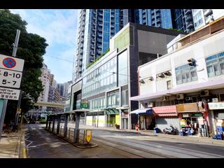 Shau Kei Wan - Lime Gala 26