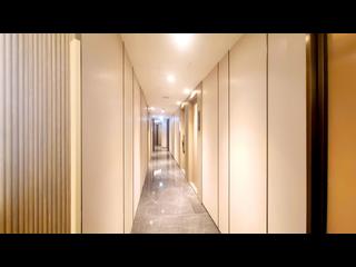 Shau Kei Wan - Lime Gala 28