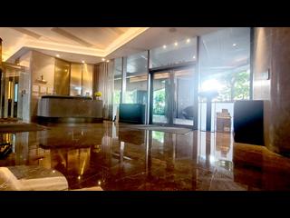 Shau Kei Wan - Lime Gala 29
