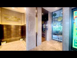 Shau Kei Wan - Lime Gala 30