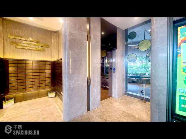 Shau Kei Wan - Lime Gala 30
