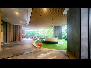 Shau Kei Wan - Lime Gala 31