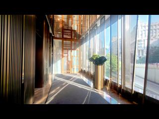 Shau Kei Wan - Lime Gala 32