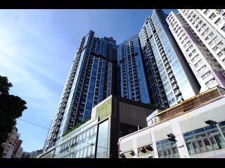 Shau Kei Wan - Lime Gala 33