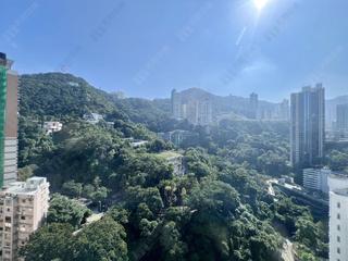 Wan Chai - Star Crest 07