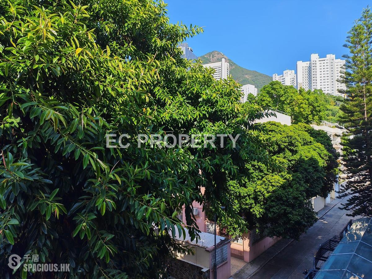 Pok Fu Lam - The Regalis 01