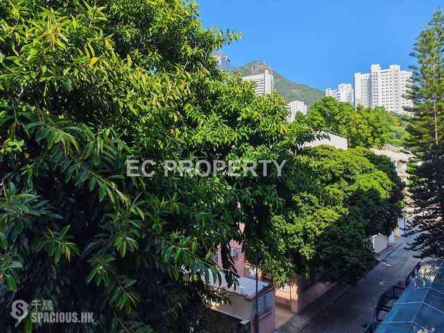 Pok Fu Lam - The Regalis 01